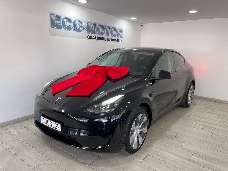 Tesla Model Y Standard
