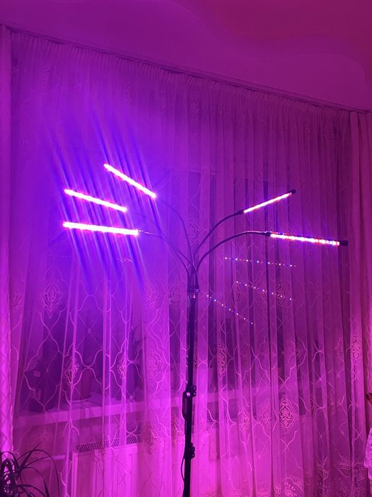 Фітолампа для росту рослин 5 голів Usb