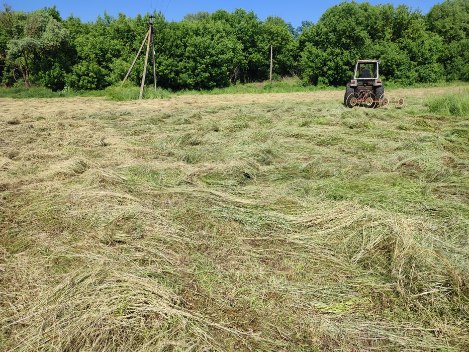 Продам сіно лугове в тюках