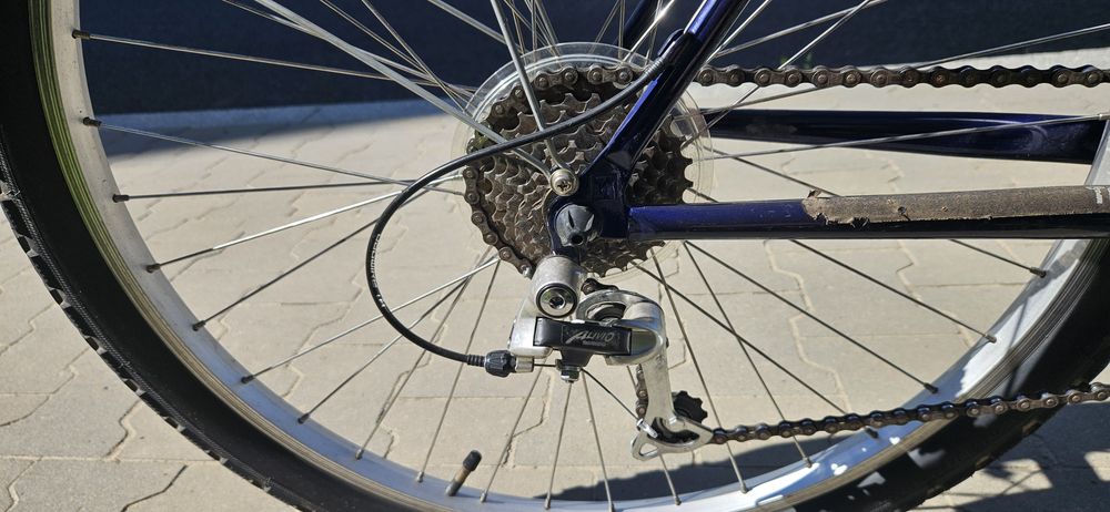 Rower Trek 830 vintage