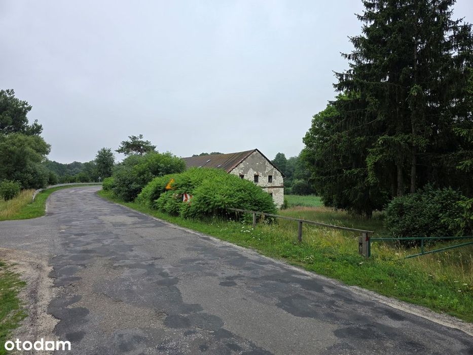 Zabytkowy Młyn, budynki gospodarcze, rzeka, las - Widok 5