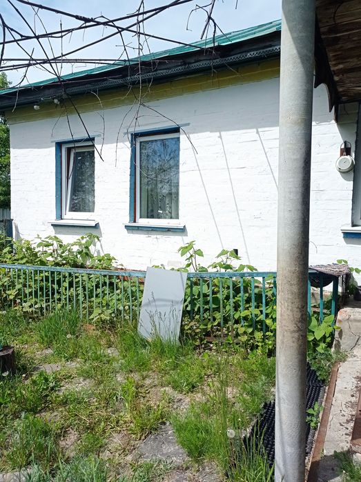 Гарний дім поряд з річкою в с.Брусилів