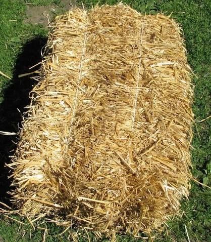 Продаються Тюки Соломи та Сіна