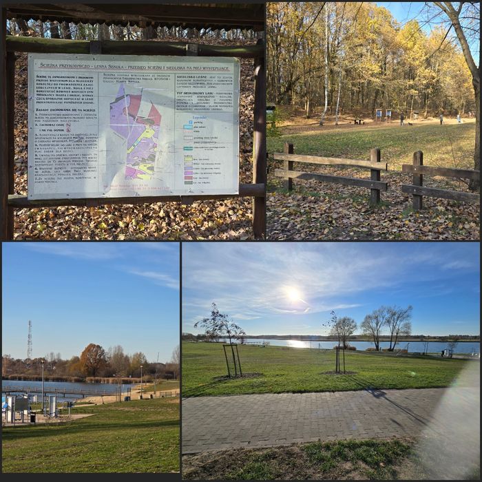 Dom z sauną, banią i jacuzzi- urodziny, wieczór panieński  itp.