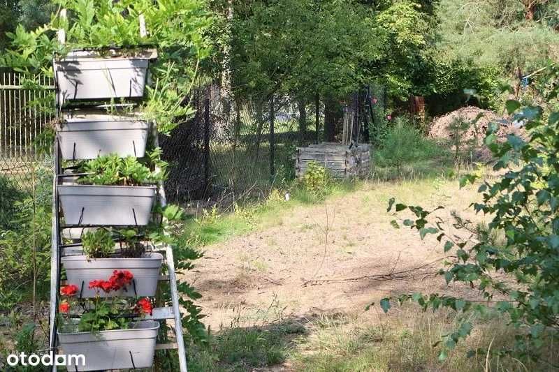 1000 m² przy ul. Dębowej — działka z prądem, wodą i domkiem - sprzedaż bez pośredników