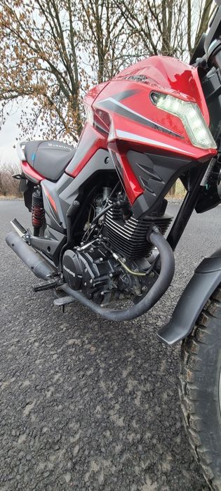 Продаю Mustang region (fortuna) 200