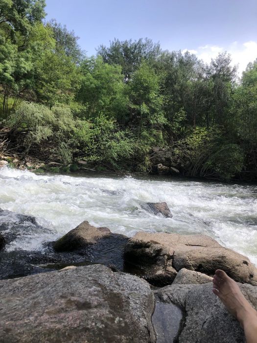 Vende-se Quinta Exclusiva com 25 Hectares | 1 km de Margem do Rio Mondego | Ribamondego (Gouveia)