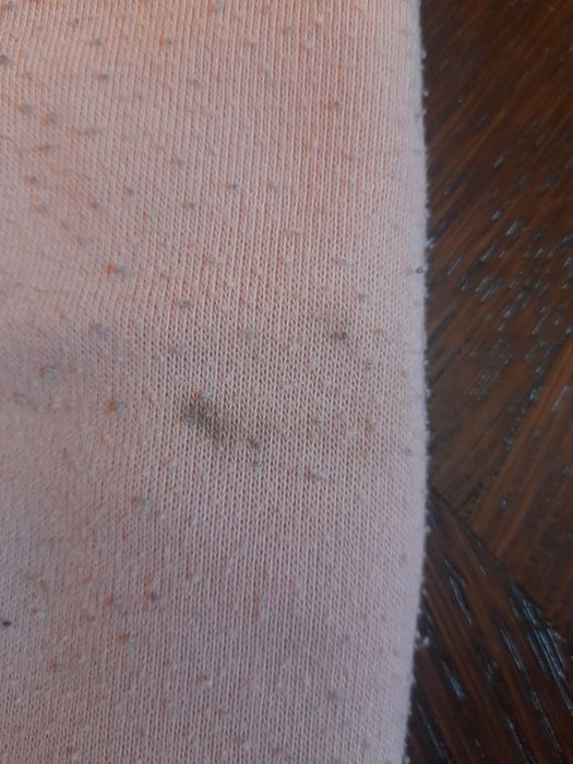 Spodnie dresowe r 86