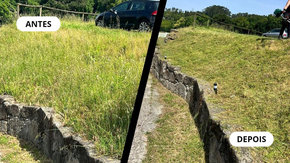 Serviços de Jardinagem e Limpeza de Terrenos
