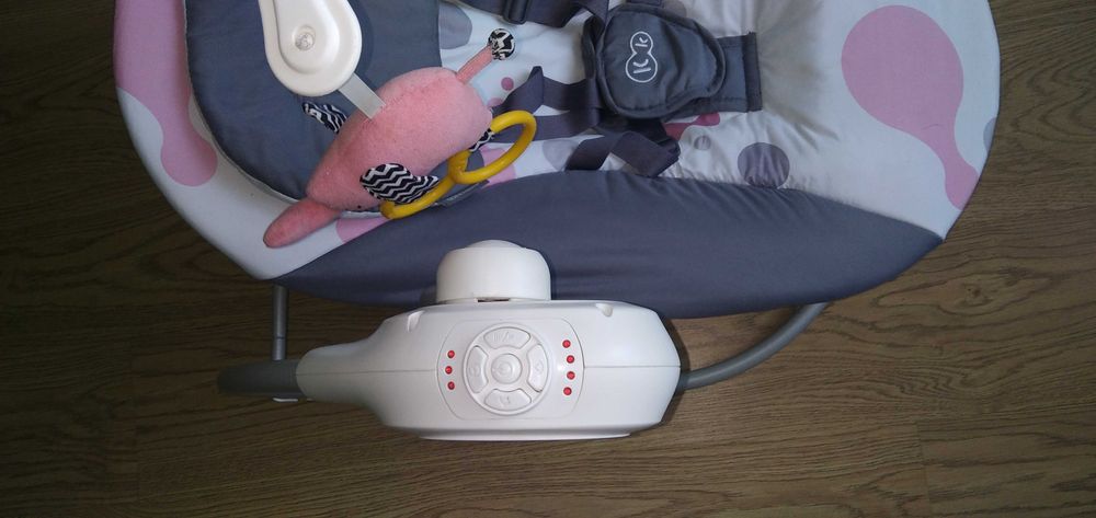 Sprzedam bujak elektryczny