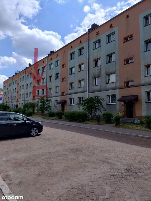 Dwupokojowe mieszkanie w centrum Gołonoga