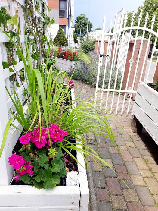 Willa Karmazyn, Noclegi w Międzyzdrojach, Pokoje nad morzem