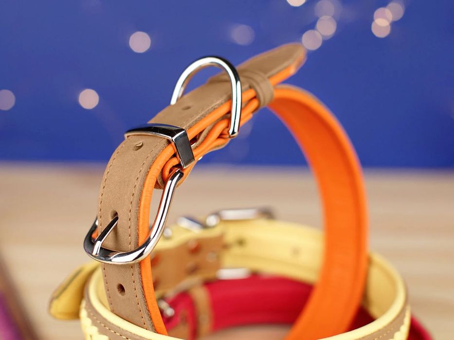 Ошейник Для Собак Кожаный Premium Акция Гравіювання Подвійна Шкіра