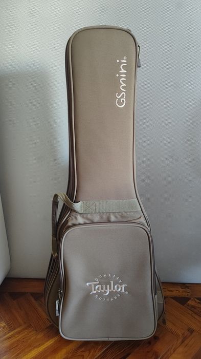 Taylor Gs-Mini Mahogany