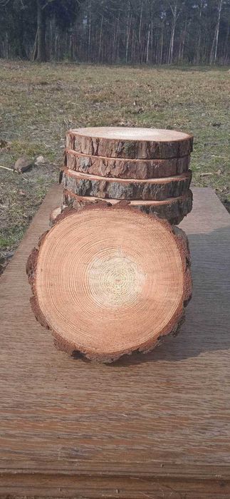 Plastry drewna, 10 sztuk, 25-30 cm, krążki drewniane, podstawki na stroiki, wesele