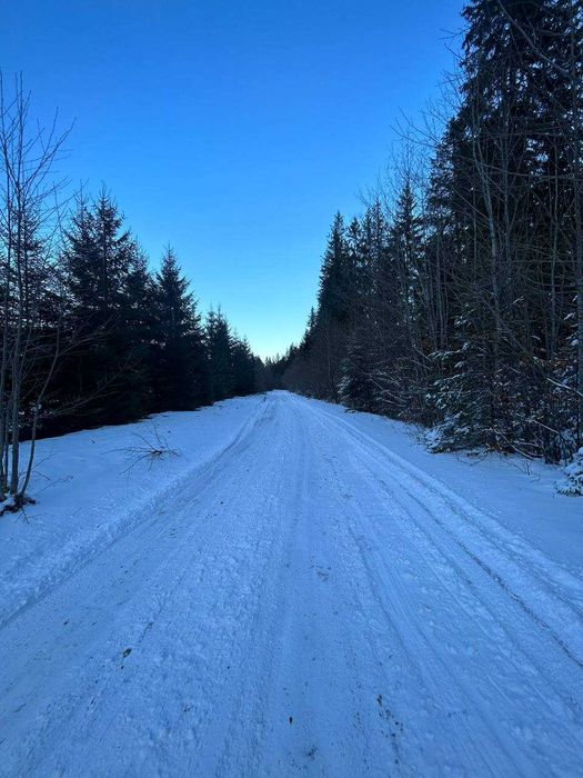 Продається унікальна земельна ділянка поблизу самої Говерли