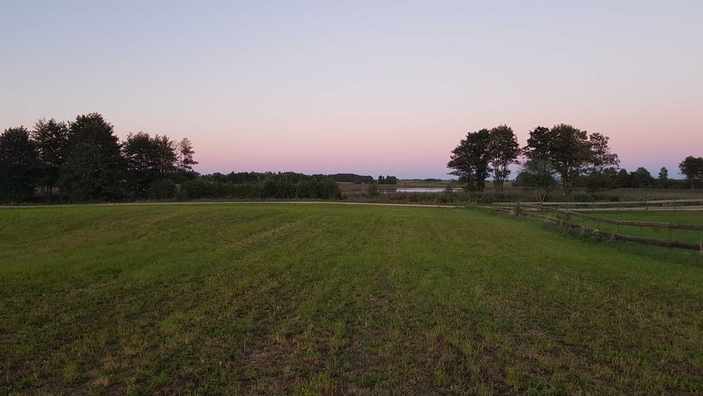 Działka 5500 m² z linią brzegową, prąd i woda. Możliwość zabudowy. Okazja! - Widok 4