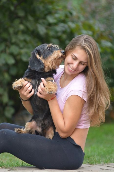 Зоогостиница .Отель для собак.Передержка животных/отель для животных