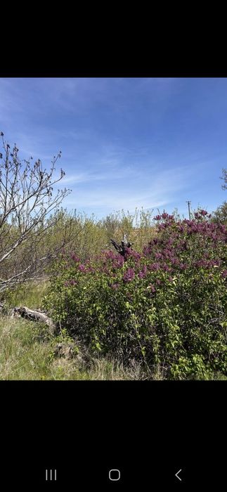 Продам участки в кооперативе  металлург.(екатериновка)