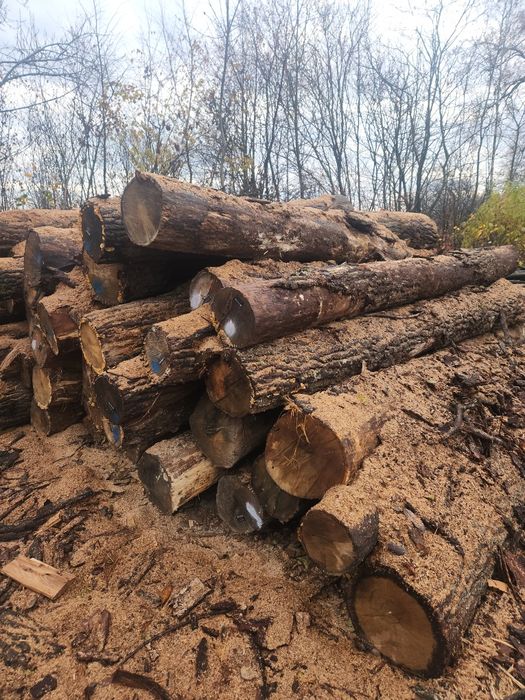 Дрова Сухі твердої породи