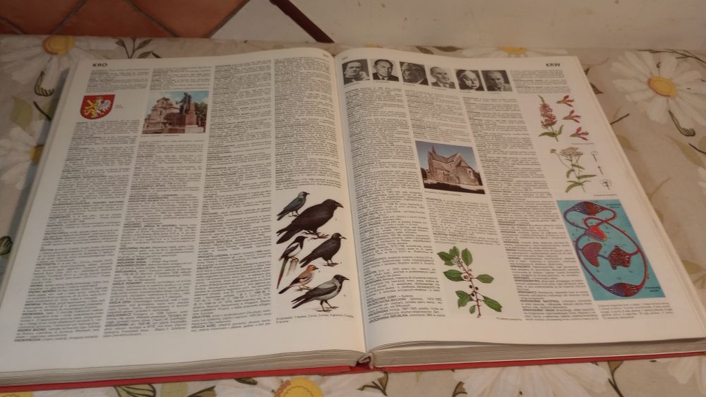 Encyklopedia popularna PWN, 1982rw.