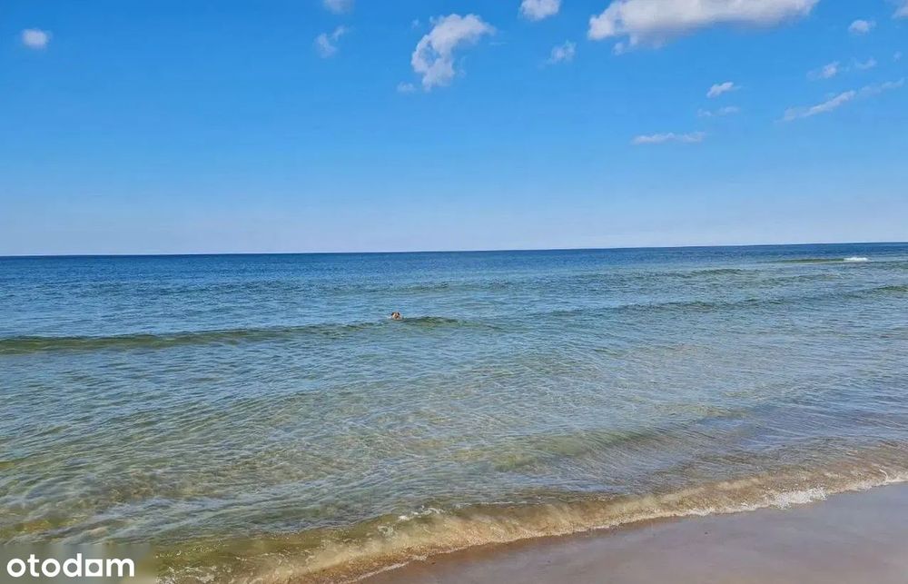 Mrzeżyno | 1200 m² | 500 m od plaży | BŁĘKITNA FLAGA