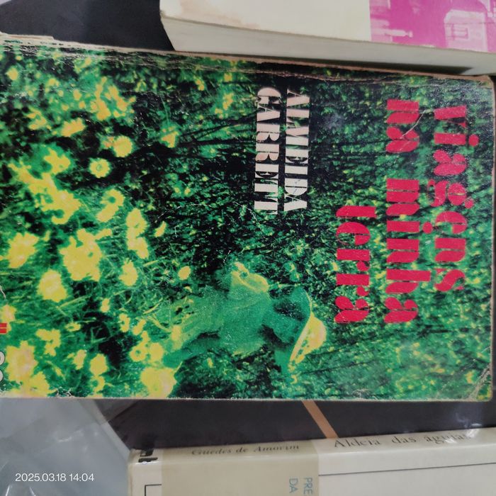 Os tres mosqueteiros,  A Dama das Camelias e outras obras