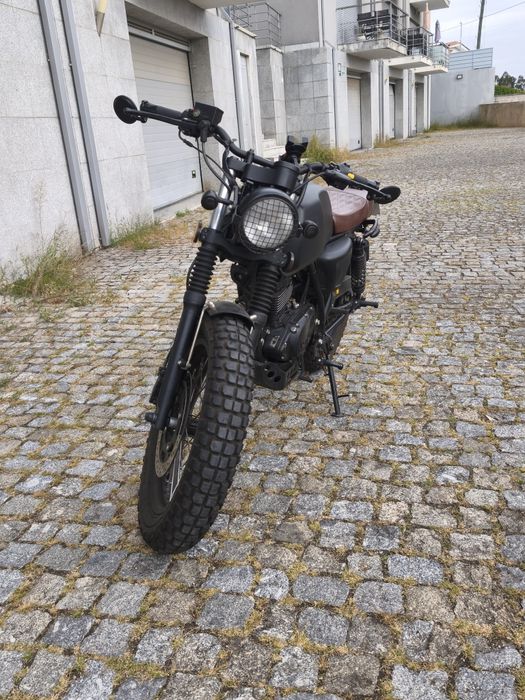 Mutt Akita Full black