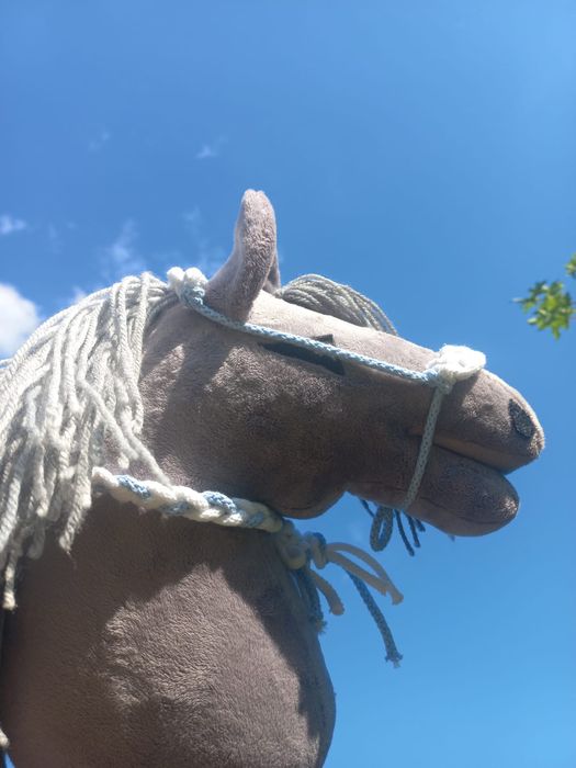 Box hobby horse+ niespodzianka