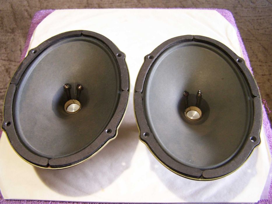 2 шт Grundig Multi-Oktav динамики 1954 г +колпаки