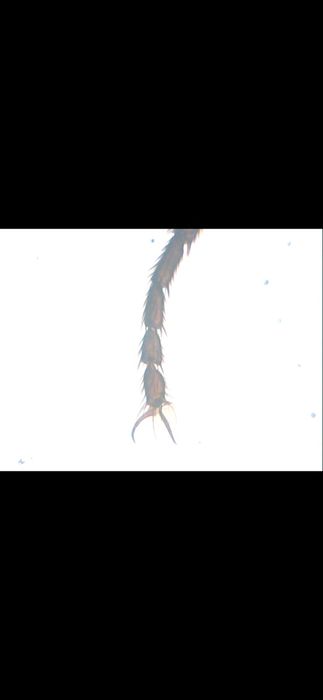 Мікроскоп visiomar 40x-1024