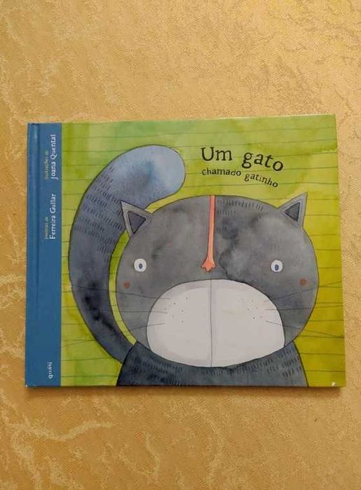 Um gato chamado gatinho