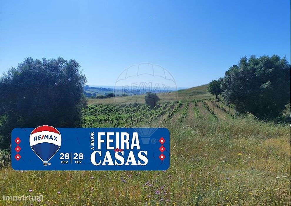 Terreno  para venda — Brogueira, Parceiros De Igreja E Alcorochel, Santarém