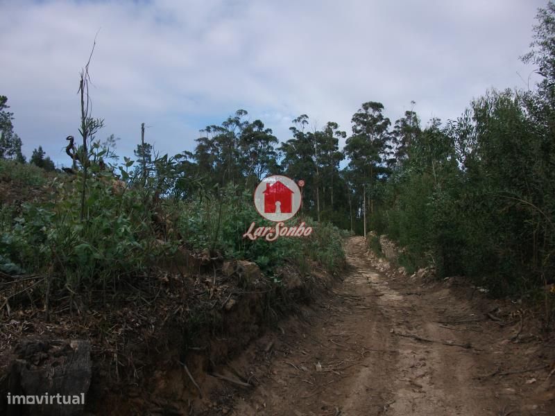 Terreno Florestal de 9.900m2 em Canidelo Vila do Conde — Malta E Canidelo, Porto