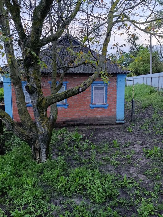 Продам будинок у селі