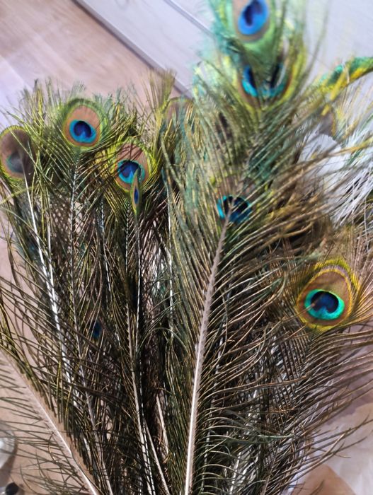 Перо павлина натуральное