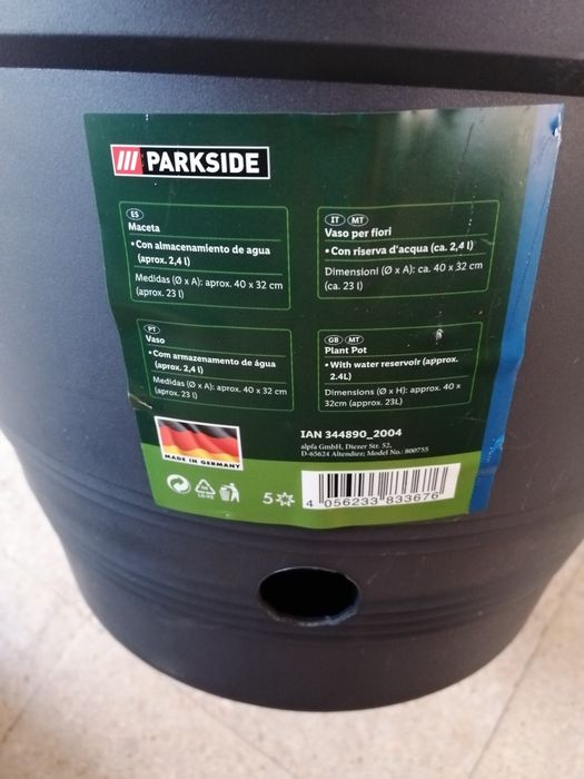 Espada São Jorge - mini - sansevieria trifasciata