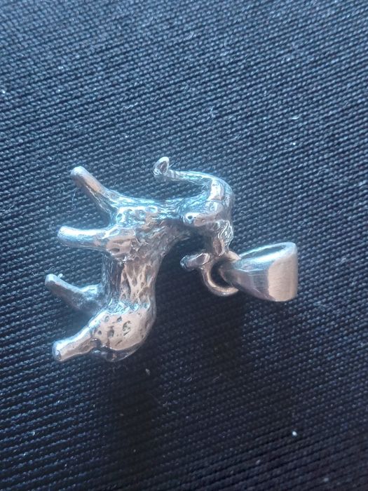 Znak zodiaku wisiorek