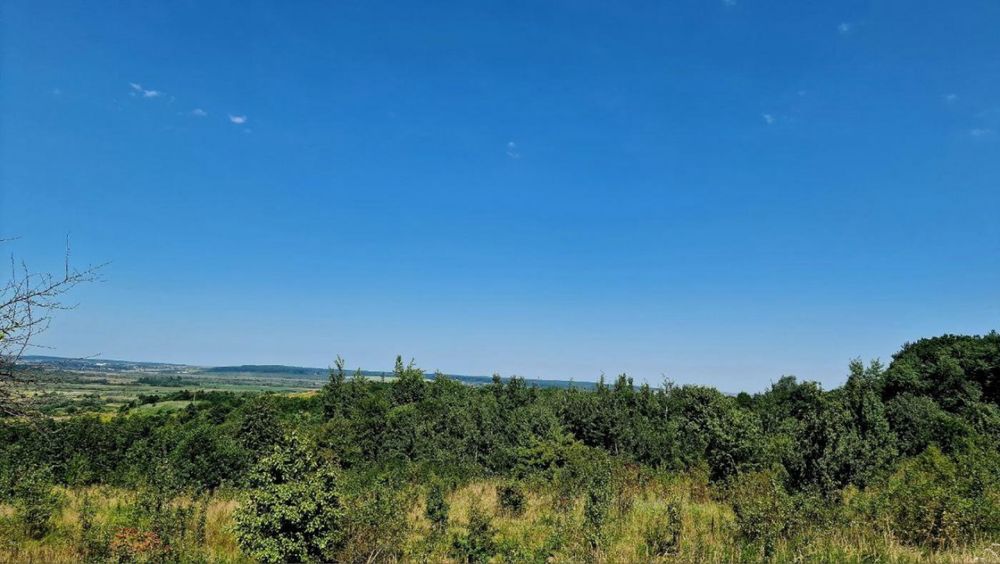 Zemljište, 20000 m²