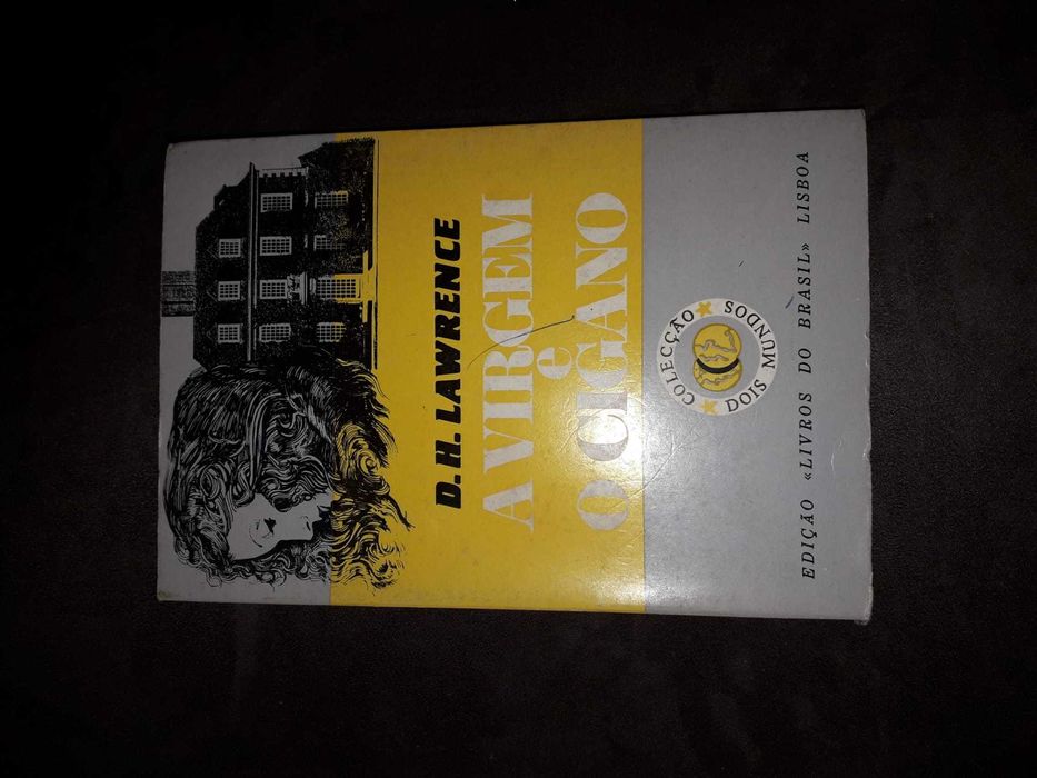 livro a virgem e o cigano-publicacoes brasil