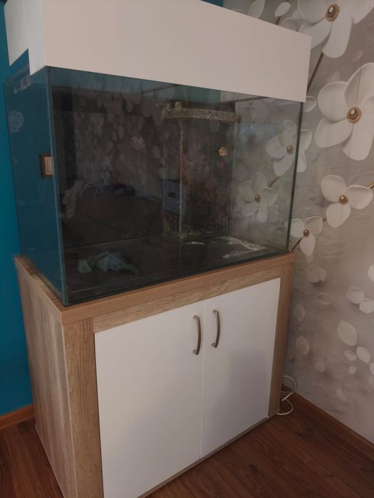 Akwarium morskie 240 litrów komplet szafka