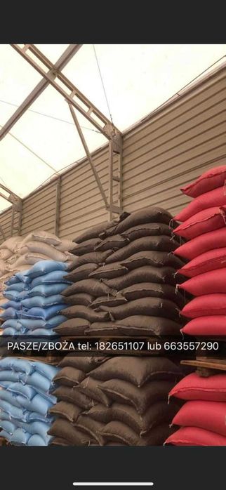 Pasze - zboża - otręby - nawozy - witaminy - koncentraty dla zwierząt