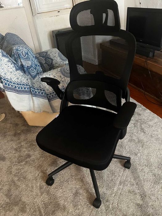 Sihoo M102C Ergonomic Office Chair with Next-Level Lumbar