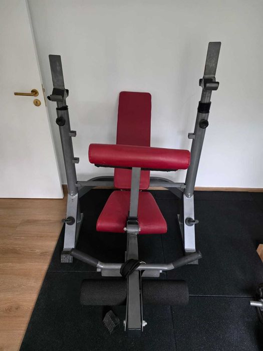 Weight Bench443510983797002241