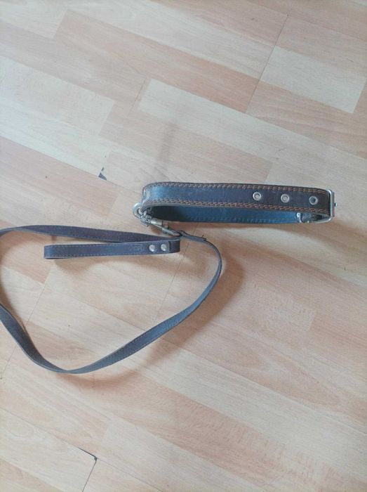 Ошейник,поводок,цепь.