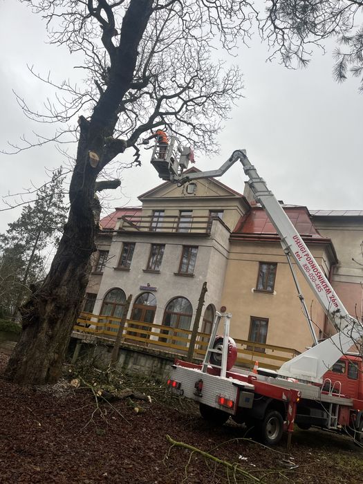 Wycinka drzew, Pielęgnacja drzew i ogrodów, Usługi rębakiem