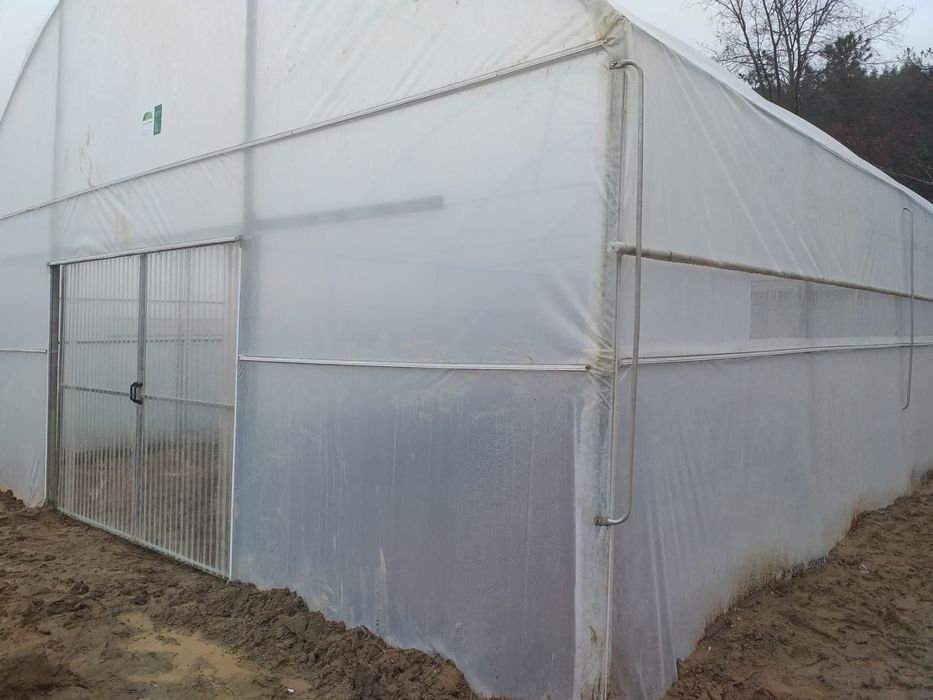 Estufas reta planta usadas