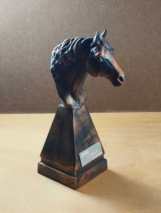 Troféu Hipsimo / Equitação / Cavalo