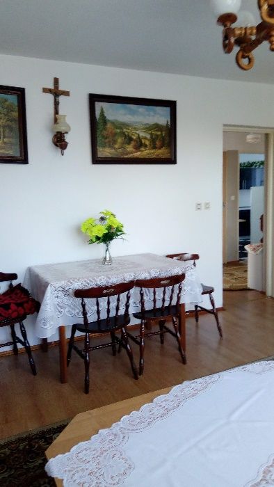 mieszkanie - wynajem