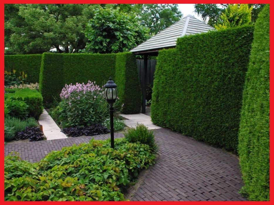 Sadzenie Roślin Żywopłotów Drzew Pielęgnacja Ogrodu Zieleni Żywopłotu